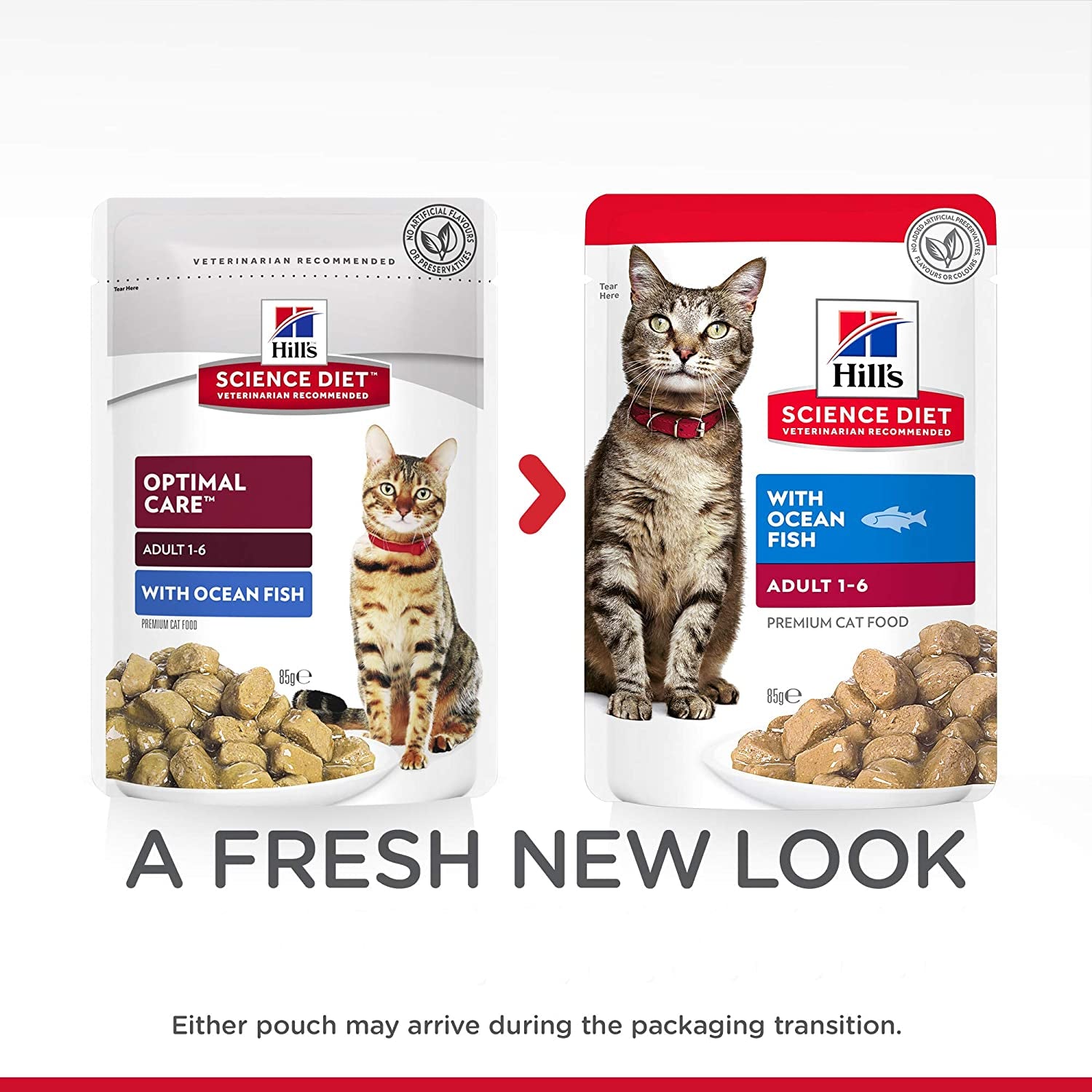 Adult Wet Cat Food, Ocean Fish, 85G, 12 Pack, Cat Food Pouches